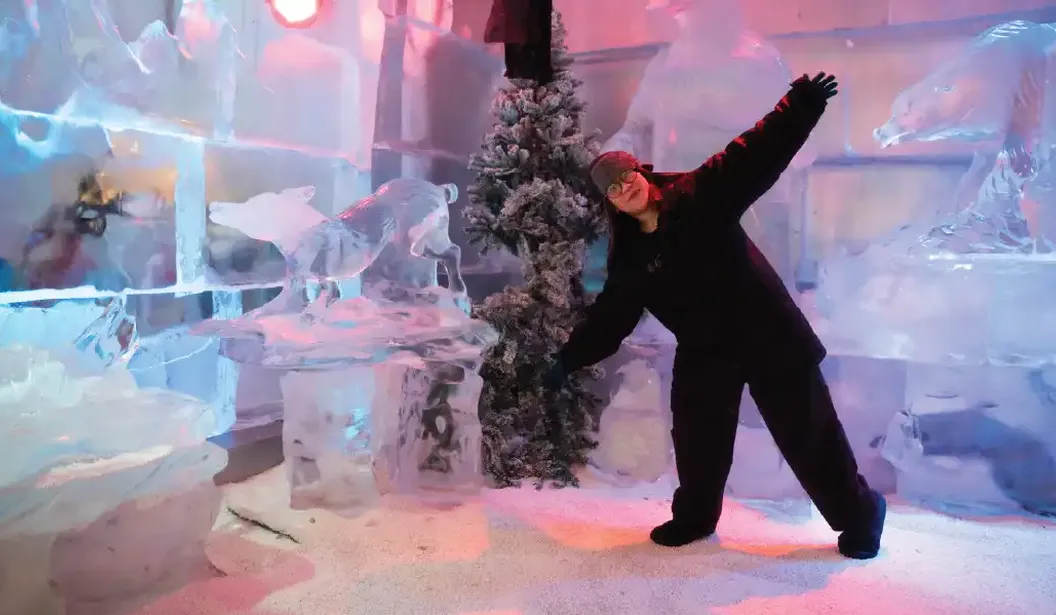 Chillout Ice Lounge