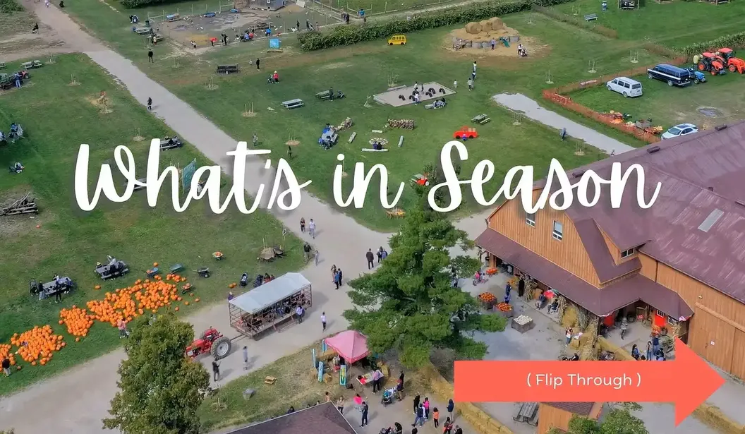 Andrews Scenic Acres Farm experiences & (AI) Discovery Park